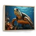 thumbnail image 2 of Designart "Monochrome Art of Coastal Turtle Life" Animals Turtle Floater Framed Wall Art Prints, 2 of 5