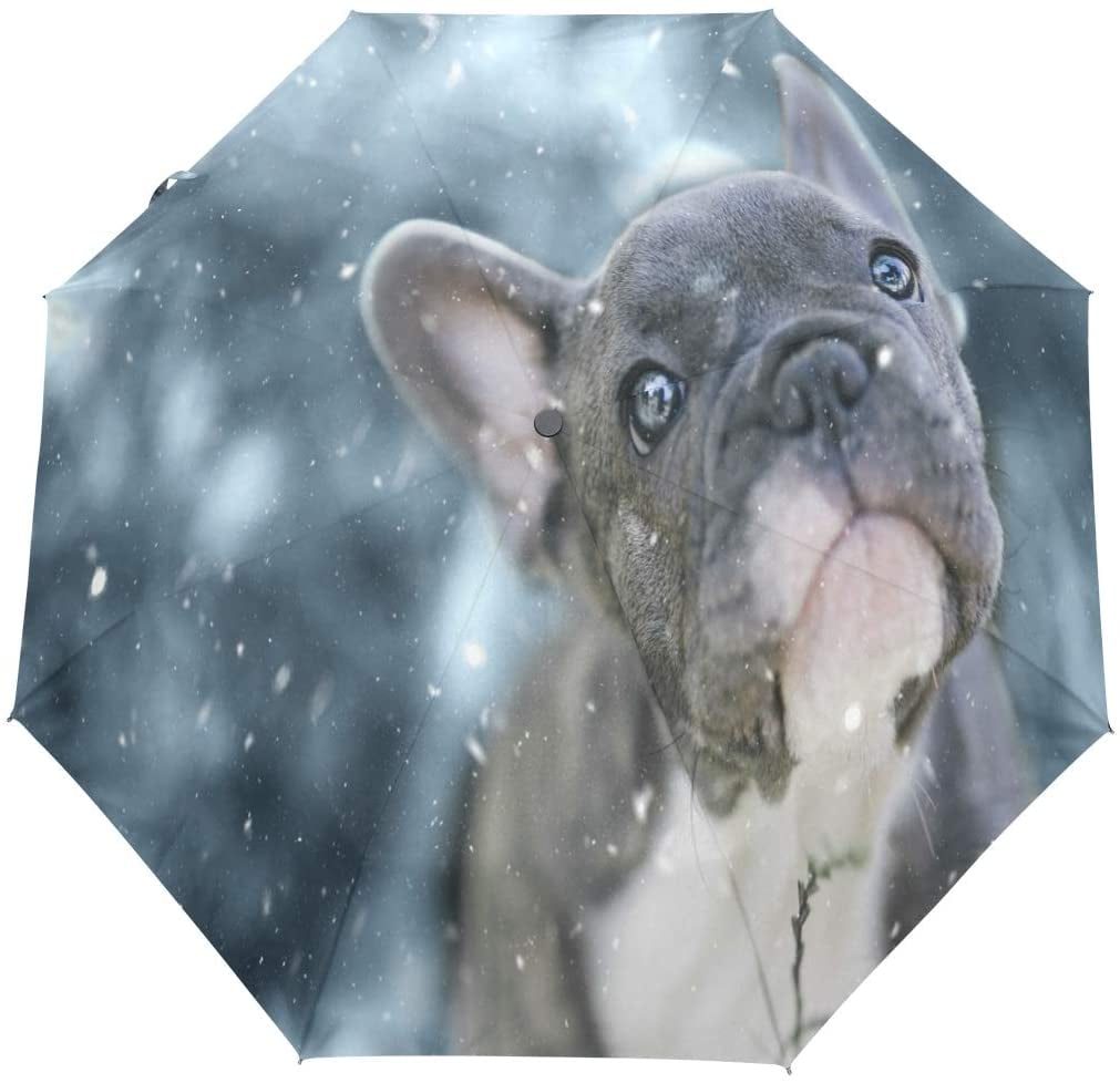 Custom Cute Bull Dog Compact Travel Windproof Rainproof Foldable Umbrella