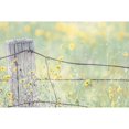 thumbnail image 3 of Schell, Jennie Marie 14x11 Black Modern Framed Museum Art Print Titled - Wildflowers By Fence Post Color, 3 of 5