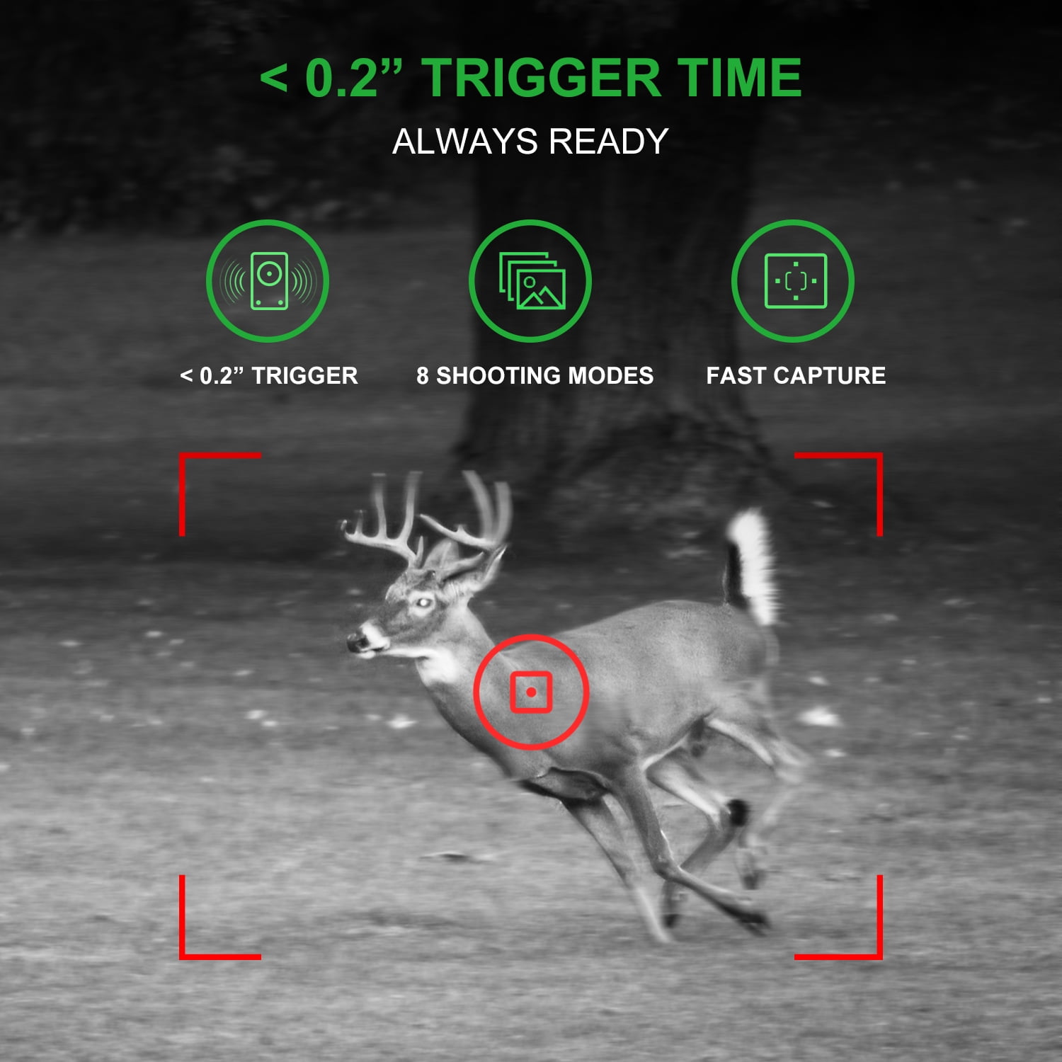 Rexing H1 Blackhawk  1080P 16MP Trail Surveillance Camera for Outdoor, Hunting Camera