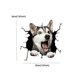 thumbnail image 3 of 1pc Doodle Style Car Sticker With Cracks & Husky Dog Design, 3 of 3