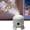 Christmas, variant on Rotating Led Projector Light,Dynamic Rotating Led Projector Light, Rotating Display, Adjustable Brightness, Decorative Night Light, Perfect For Indoor Nighttime Ambience Decoration