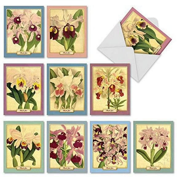 M10038TY VINTAGE ORCHIDS' 10 Assorted Thank You Note Cards With Lovely Vintage Illustrations Of Orchids with Envelopes by The Best Card Company