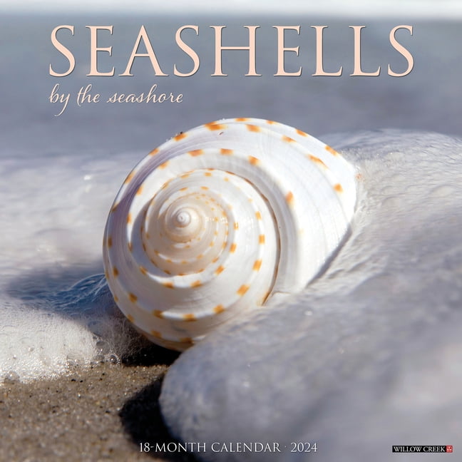 Seashells 2025 12 X 12 Wall Calendar (Calendar)