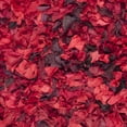 thumbnail image 3 of SAFAVIEH Rio Cassandra Confetti Polyester Shag Area Rug, Red/Multi, 4' x 6', 3 of 7
