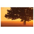 thumbnail image 4 of Tree Ceramic Toothbrush Holder, Lonely Tree on the Field at Sunrise in Warm Color Countryside Foggy Morning Scenery, Versatile Countertop for Bathroom, 4.5" X 2.7", Brown Orange, by Ambesonne, 4 of 4