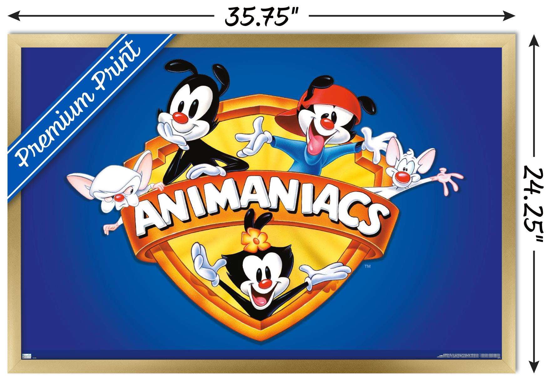 Animaniacs - Shield Wall Poster, 22.375" x 34", Framed