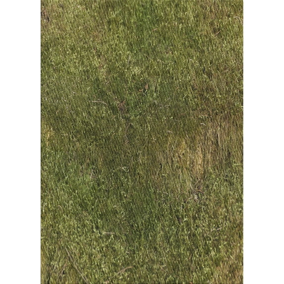 Ahgly Company Machine Washable Indoor Rectangle Transitional Brass Green Area Rugs, 2' x 5'