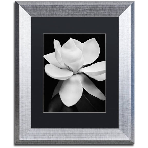 Michael Harrison 'Magnolia' Black Matted Framed Art