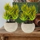 thumbnail image 5 of GOOHOCHY Plantas de olla verde artificial Plantas de simulación Bonsai Decoración de la casa interior, 5 of 7