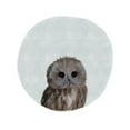 thumbnail image 3 of Straatsma, Leah 15x15 Black Modern Framed Museum Art Print Titled - Baby Owl Circle Gray, 3 of 5