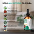 thumbnail image 3 of Gluco Tonic Drops - Blood Support Formula, Official GlucoTonic to Maintain Overall Wellness, All Natural Glucose Tonic to Support Healthy Lifestyle, Gotas Reviews (30 Servings), 3 of 8