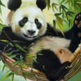 thumbnail image 6 of Acheng Panda Bear Bamboo Branches Round Tablecloth with Elastic Edge 100% Polyester Fiber 46-50, 6 of 8