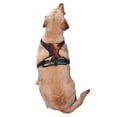 thumbnail image 2 of Naloa Textured Bald Eagle Pet Harness Vest with Traction Rope, Adjustable No-Choke Dog Vest for Outdoor, Walking - Medium, 2 of 4