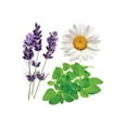 thumbnail image 4 of doTerra Serenity Blend - Mélange Apaisant, 4 of 4