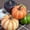 *YY New-A, variant on Simulation Pumpkin Halloween Decoration Props Accessories Ornaments Foam Fake Vegetables Pumpkin Set Model for Halloween Festive Home Accents