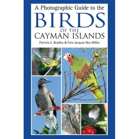 Photographic Guide to the Birds of the Cayman Islands, A (Paperback)