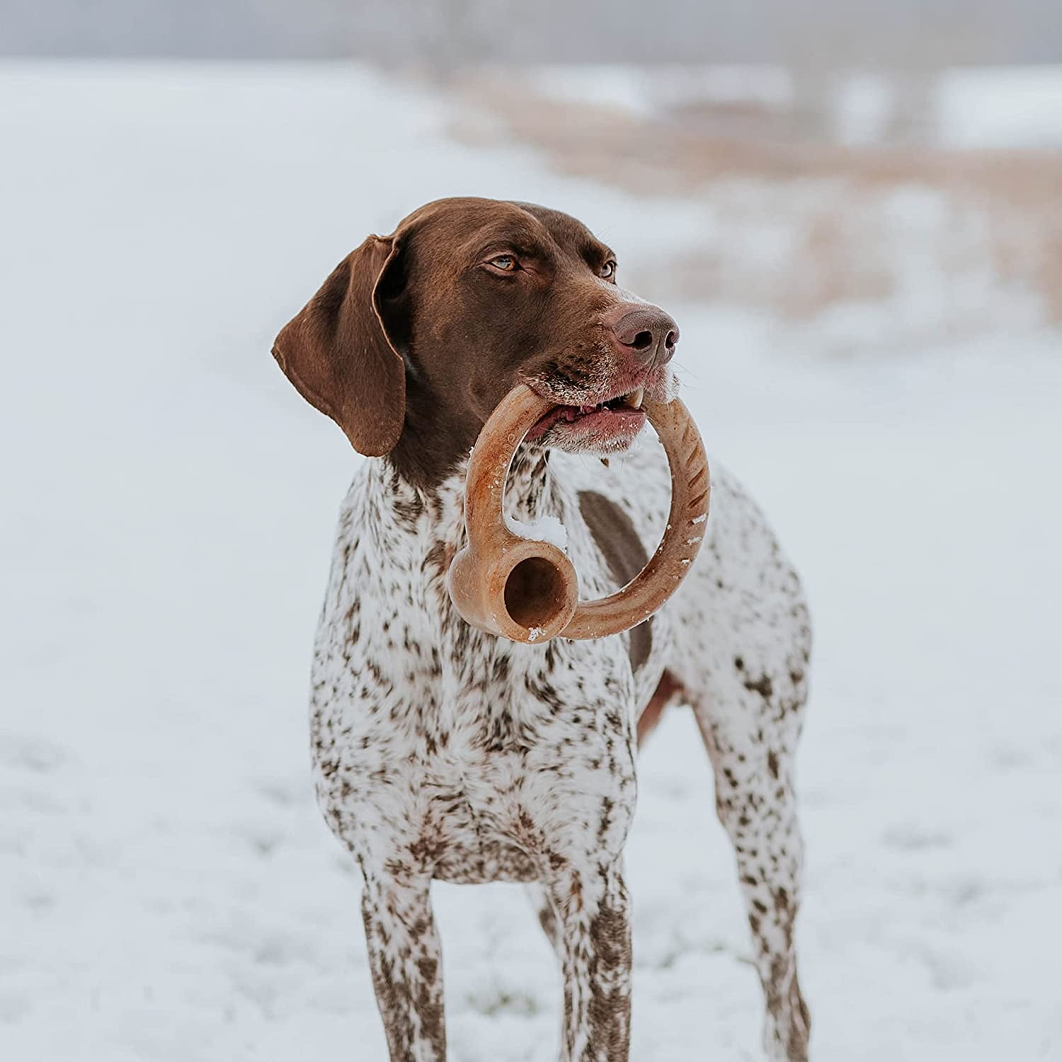 Lumabone Real Bacon Durable Ring-Stuffer Dog Chew Toy, Medium