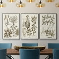 thumbnail image 2 of Sepia Botanical Journal VI - Framed Premium Gallery Wrapped Canvas L Frame 3 Piece Set - Ready to Hang, 2 of 9