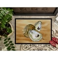 thumbnail image 3 of Carolines Treasures 8160-MAT Oyster Doormat 18x27 27"L x 18"W multicolor, 3 of 4