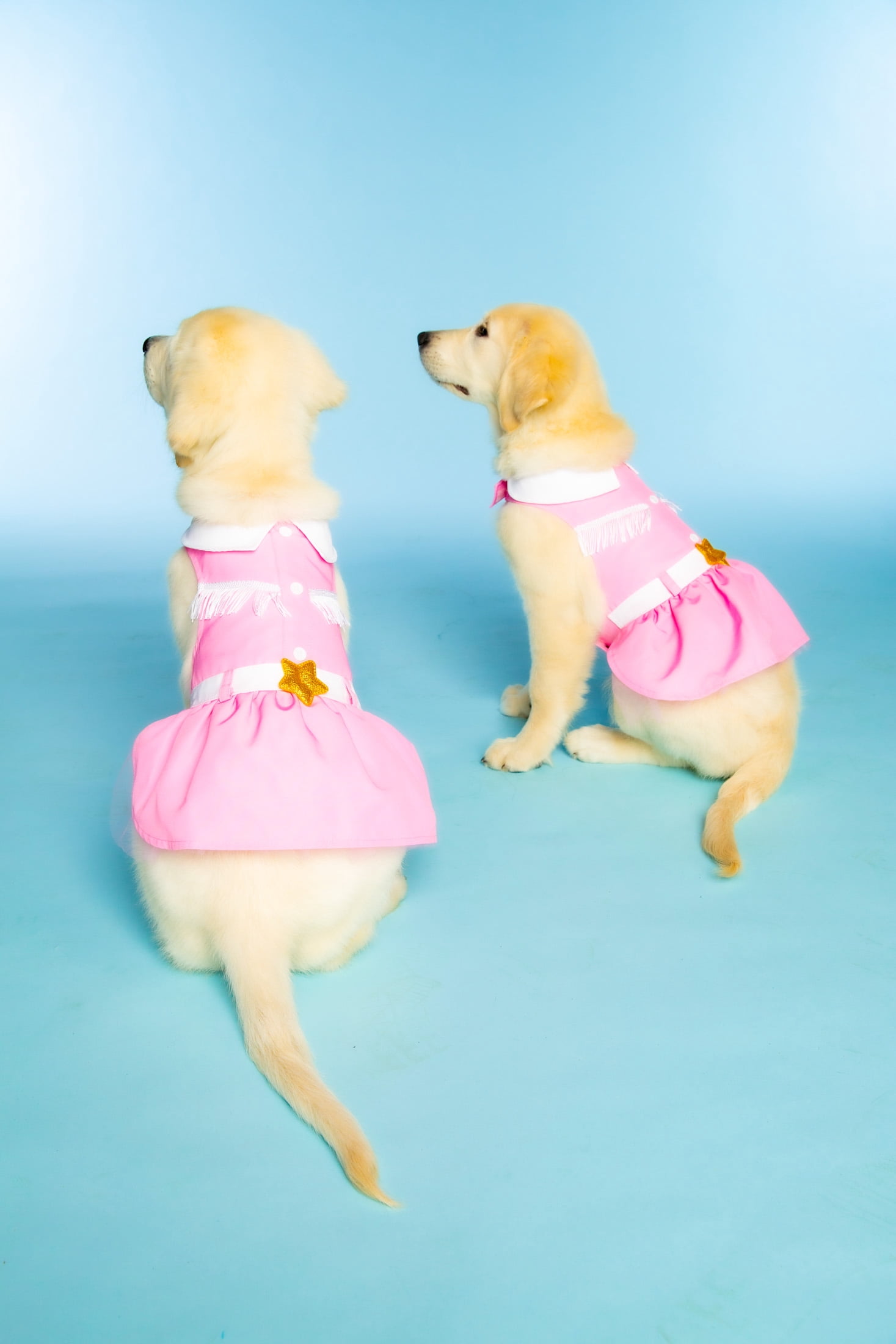 Doggy Parton, Dog Clothes, Cowgirl Collared Dog or Cat Dress, Pink, XS