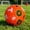 Orange, variant on Yardvibe Soccer Ball with Number & Alphabet, 5.91" Outdoor Sports Ball Bulk for Adults Parties and Soccer Fan Gifts, Indoor Outdoor Use, Size 2 (White)
