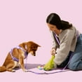 thumbnail image 6 of THE LICKER STORE The Licker Store 13 in. x 9 in. Extra Thick Leak Proof Unscented Biodegradable Dog Poop Bags, Green (300 Count, 20-Rolls), WBG1000B-20SET, 6 of 9