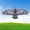 #10 Gray, variant on POSORJU Eagle Kite for K*ids and Adults Large Bird Kite for K*ids & Adults Realistic Bird Design, Easy to Fly Beginner Kite with Handle & Line, Perfect for Beach Park Backyard Outdoor Fun