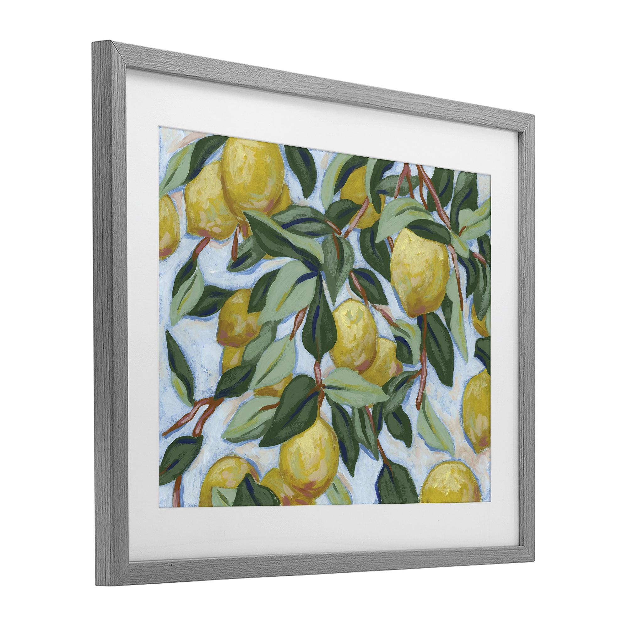 Stupell Industries Summer Citrus Tree Gray Framed Print Under Glass, design by June Erica Vess