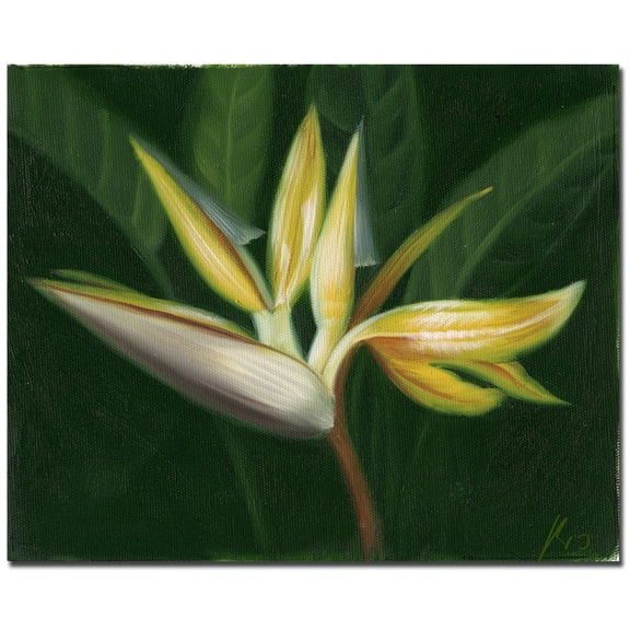 Trademark Fine Art "Lilies" Canvas Art