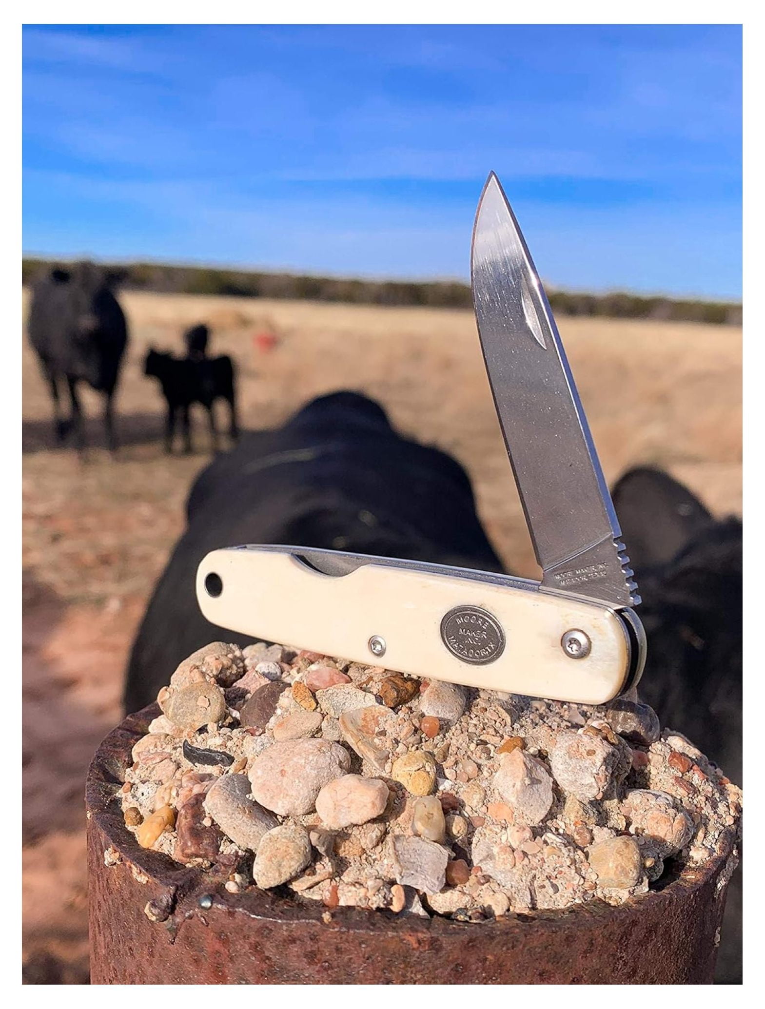 Moore Maker 3-12” Single Blade Knife 5107 | Folding Pocket Knife with White Bone Handle and Single High Carbon Steel Blade | with Lanyard Hole