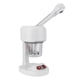 thumbnail image 2 of Máquina de vapor facial de escritorio con pulverizador humectante para el cuidado facial, máquina de vapor para salón, enchufe estadounidense de 110 V, 2 of 14