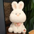 thumbnail image 1 of Recién llegado, conejo Kawaii de 35/50/60cm, juguete de peluche para niños, almohada cómoda, regalo de cumpleaños para niñas zhangyuxiang LED, 1 of 2