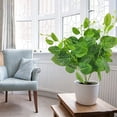 thumbnail image 5 of SIfdSeng Greenery Vines Pothos Leaves for Indoor Wall Courtyard, 5 of 5