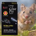 thumbnail image 3 of Mouse Catcher Herramienta para Roedores Domésticos Ligera No Tóxica (grande), 3 of 9