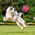thumbnail image 5 of Frisbee y discos de lanzamiento - Juguete interactivo para perros medianos y grandes - Juguete para perros con sonido al aire libre (naranja) ER, 5 of 5