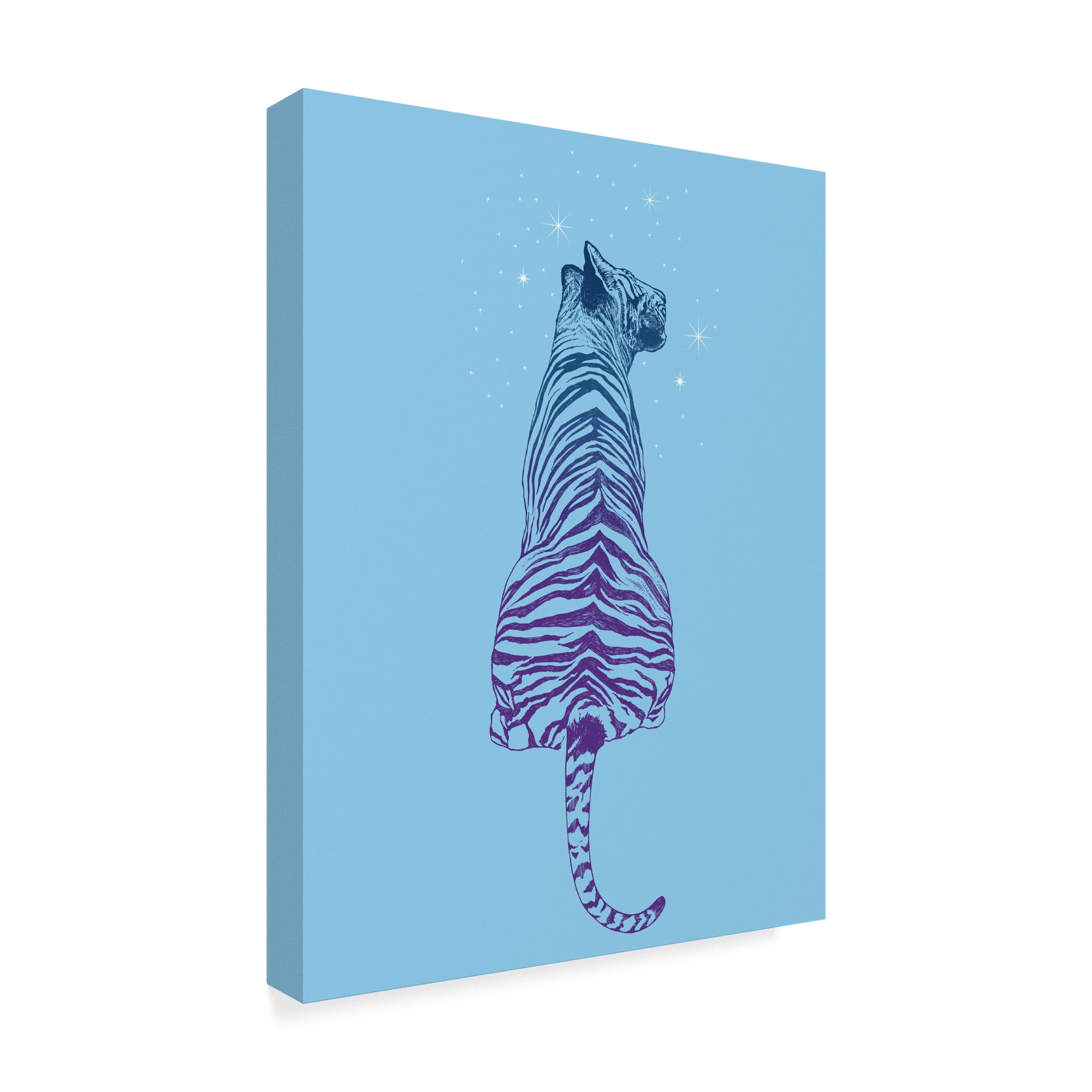 Trademark Fine Art 'Tiger Wonder' Canvas Art by Rachel Caldwell