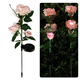 thumbnail image 5 of Decoración solar de jardín, paquete de 2 rosas de luz solar para patio, paso, decoración de patio, 5 of 5
