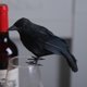 thumbnail image 1 of Halloween realista DIY pájaros manualidades negro cuervo juguete realista para jardín balcón, 1 of 9
