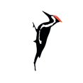 thumbnail image 2 of Unique Metal Woodpecker Silhouette Outdoor Decoration Rust-Resistant Waterproof Metal Decoration For Garden Decoration, Perfect Gift For Gardeners Nature Lovers Outdoor, 2 of 3