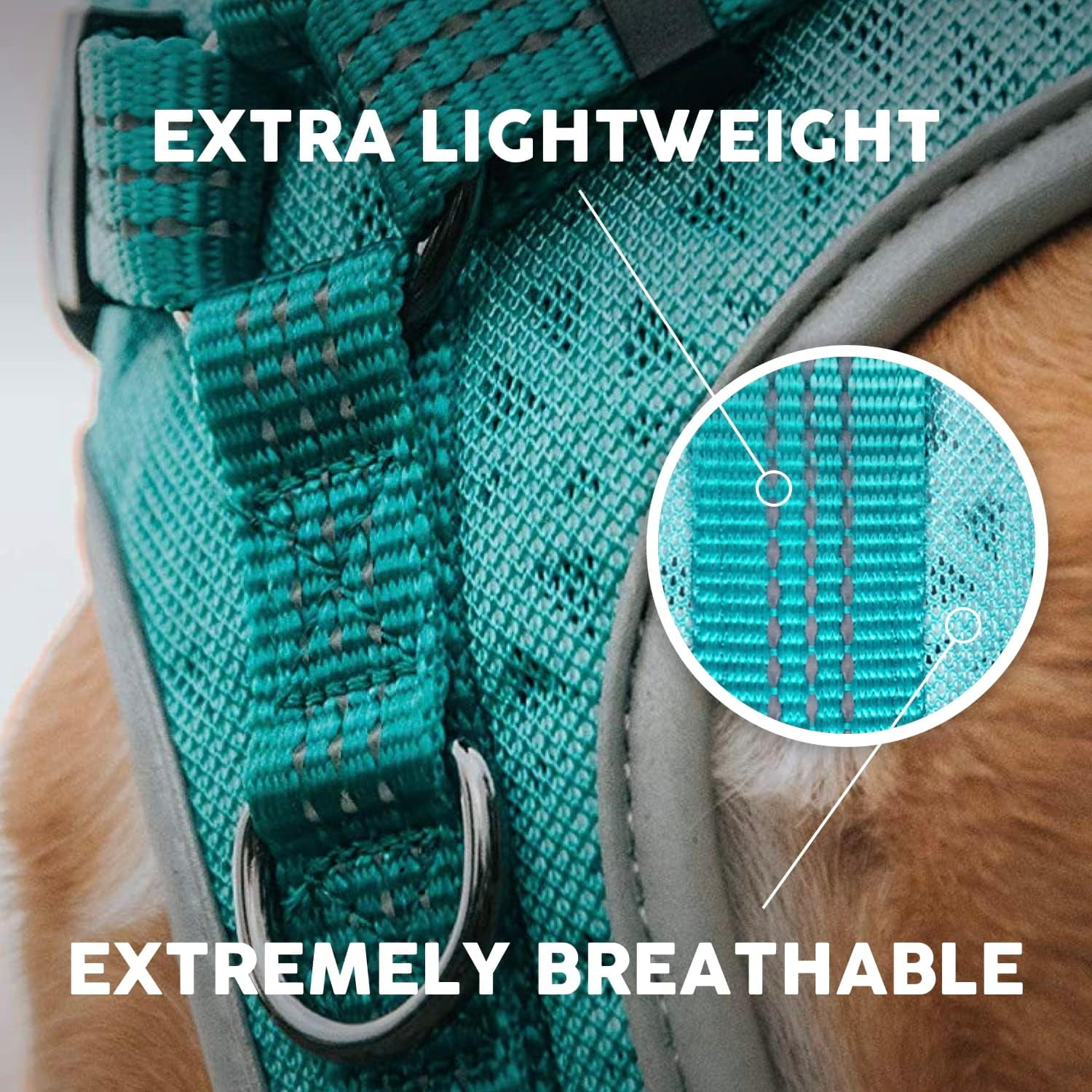 Embark Sports Dog Harness, Dog Harness for Small Medium Large Dogs No Pull with Light and Breathable Design - Handle for Control. Easy On and Off, Size Adjustable, Non Choke. Teal Vest