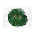 thumbnail image 4 of SHINYPASING 10Pcs Green EVA Floating Aquarium Plants for Stage and Dance Props, 4 of 7