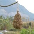 thumbnail image 4 of Humming Bird Houses for Outdoor Hanging, Natural Grass Bird Hut,Hand Woven Hummingbird Nest, Bird House for Garden Window Outdoor Home, 4 of 9