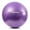 Purple, variant on ExerciseStability Ball for Fitness, Yoga, Labor, and Birthing