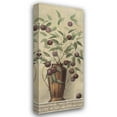 thumbnail image 1 of Daphne Brissonnet 18x40 Gallery Wrapped Canvas Wall Art Titled - Prunier, 1 of 4