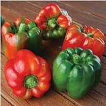 Ozark Giant Sweet Peppers Seeds (20 Seeds) | Non GMO | Vegetable Fruit Herb Flower Seeds for Planting | Home Garden Greenhouse Pack