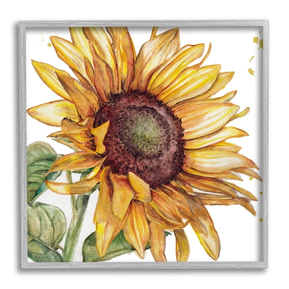 Stupell Industries French Country Modern Sunflower Close Up Gray Framed Giclee Art, 12 x 12, by Studio 731 rep. Levison Designs