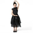 thumbnail image 3 of Vestido de actuación de la familia Adams, vestido con velo, vestido de velo negro de Adams, miércoles, Adams cosl, 3 of 6