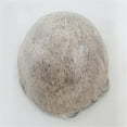 thumbnail image 3 of Knotless Skin Toupee for Men Human Hair Male Capillary Prosthesis, 3 of 6