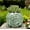 Frog B, variant on Cute Frog Planter Unique 5 Inch Plant Pots with Drainage Hole | Funny Small Flower Pots for Indoor Outdoor, Resin Succulent Pots Garden Decor for Desk Home Office, Gift for Plant Lovers